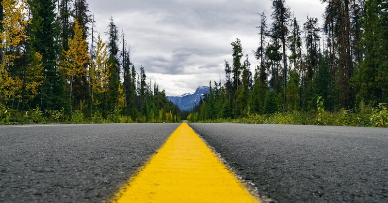 Explorez les forêts enchantées d'Europe : le guide des meilleures destinations
