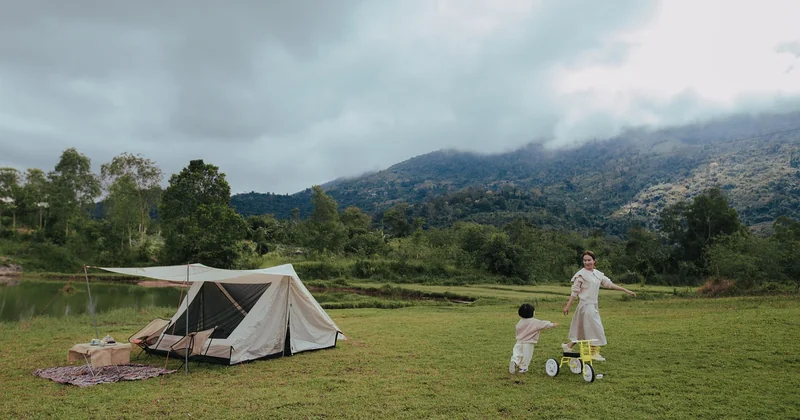 Dôme, tunnel ou pop-up : les trois grandes familles