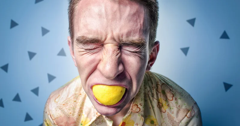 Le stress, l'humeur, l'autorégulation : comment la nature agit sur chaque pilier